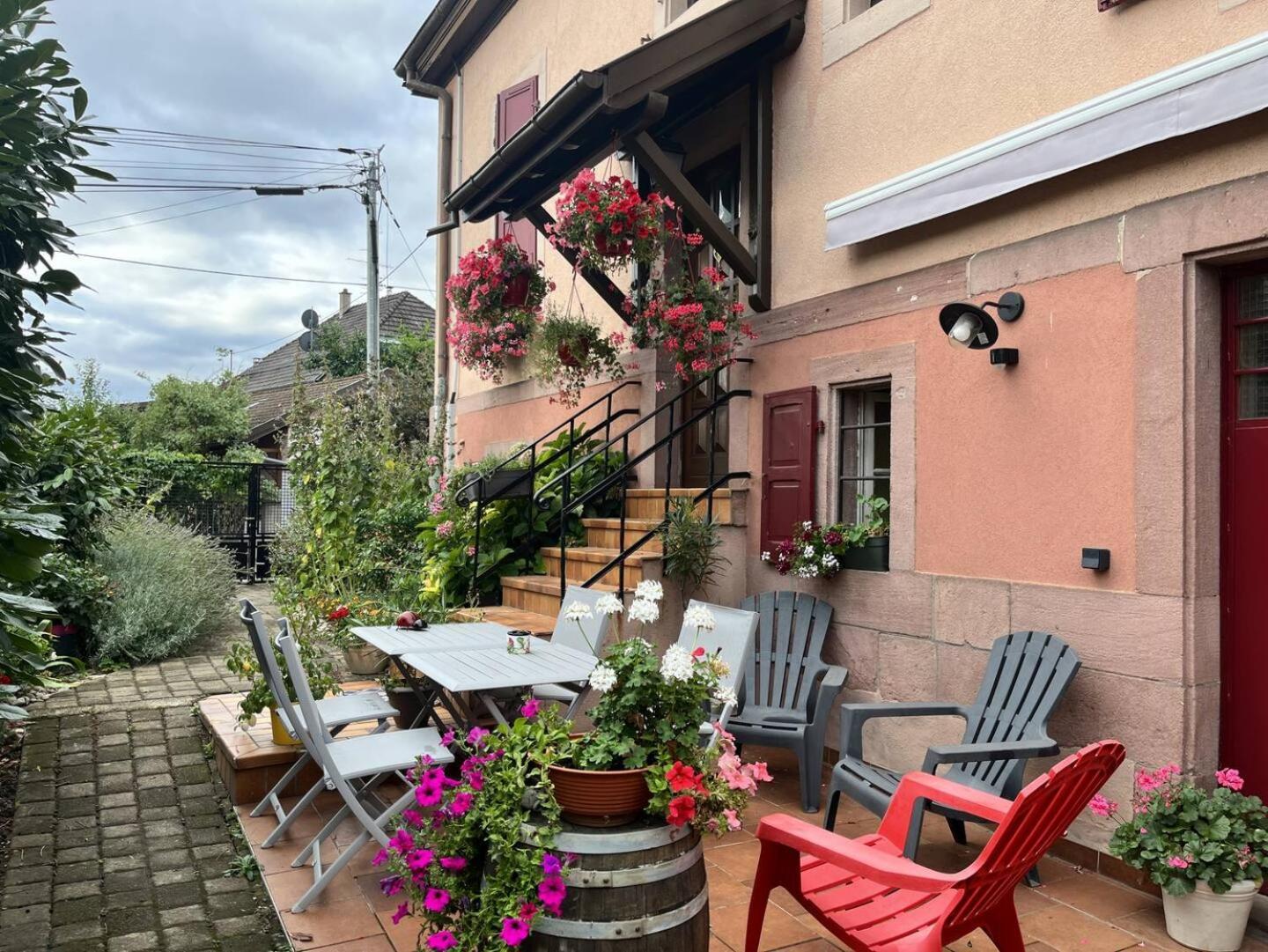 Gite La Glycine, Moderne Tres Propre 3 Lits Soultz-Haut-Rhin Eksteriør billede